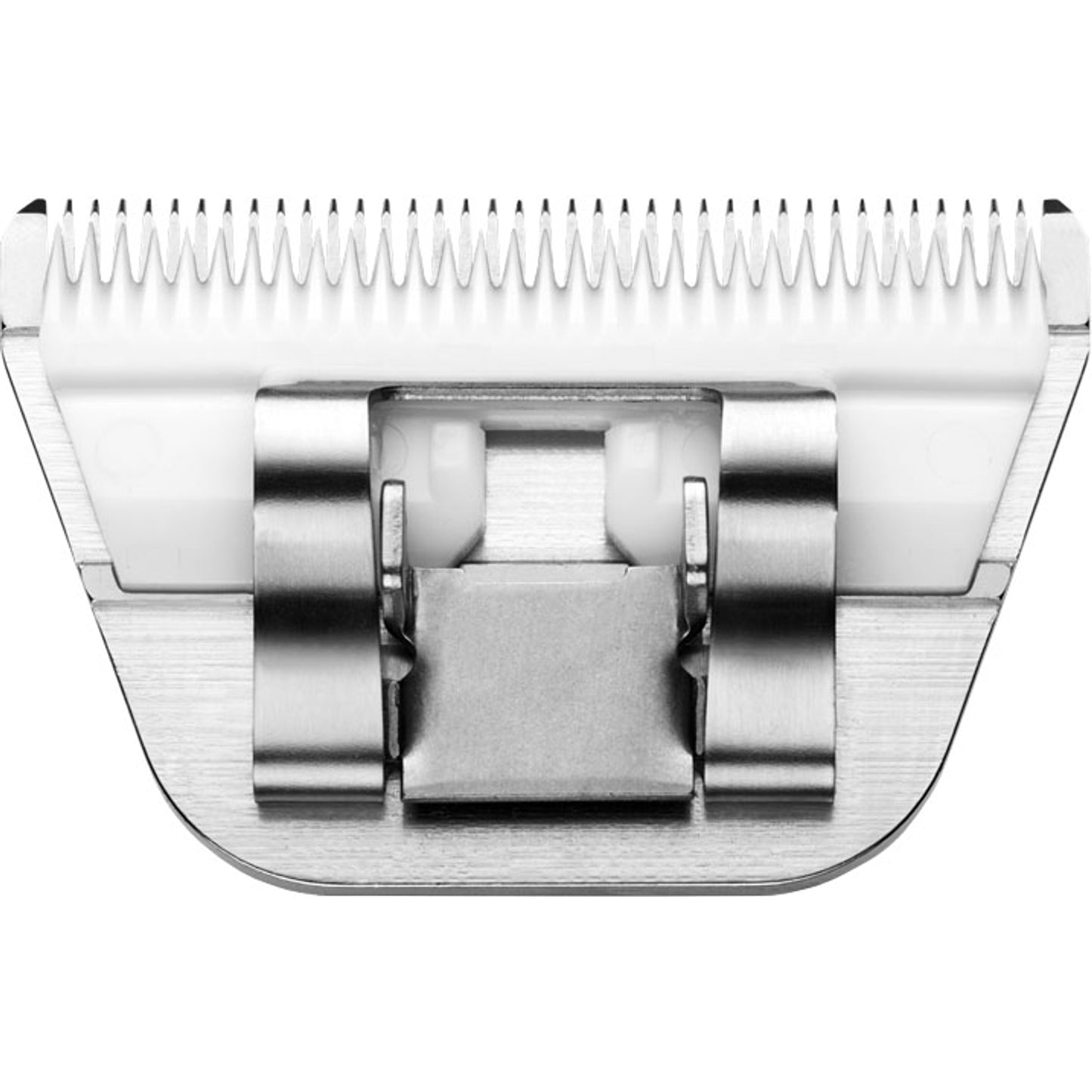 4-446493-c.jpg