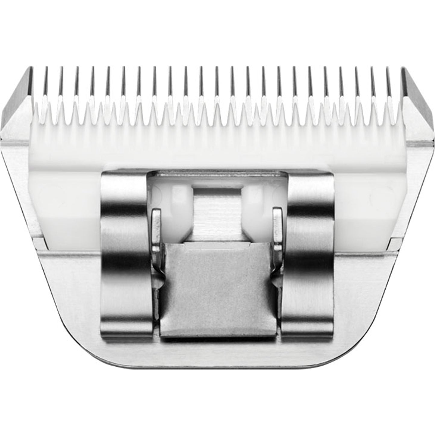 4-446495-c.jpg