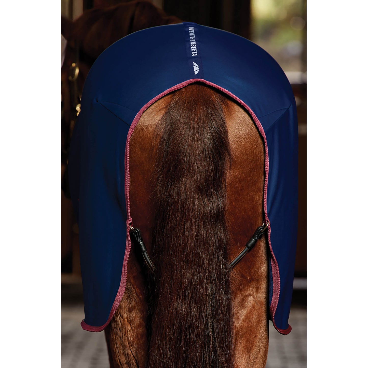 4-504756-3.jpg