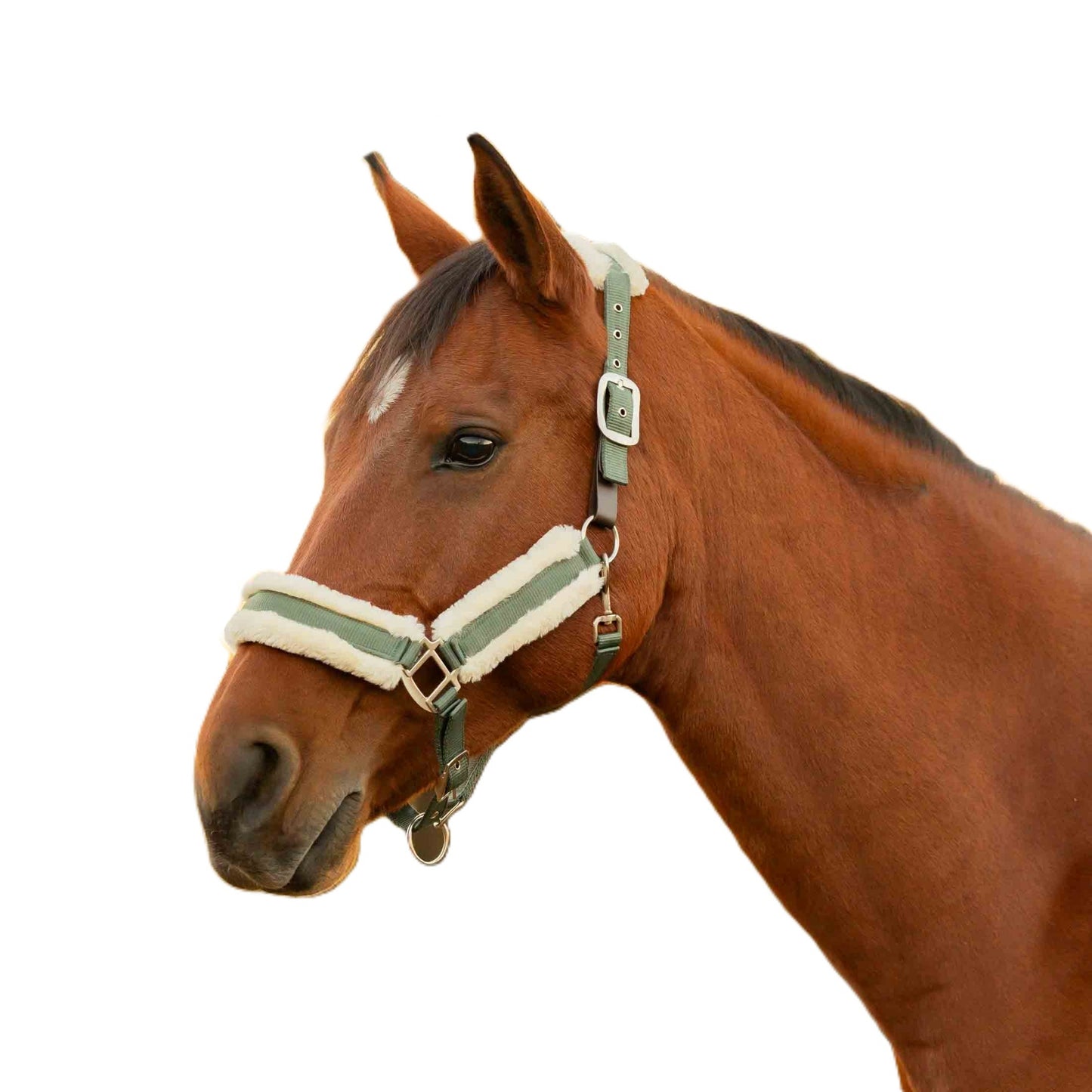 4-530100-01.jpg
