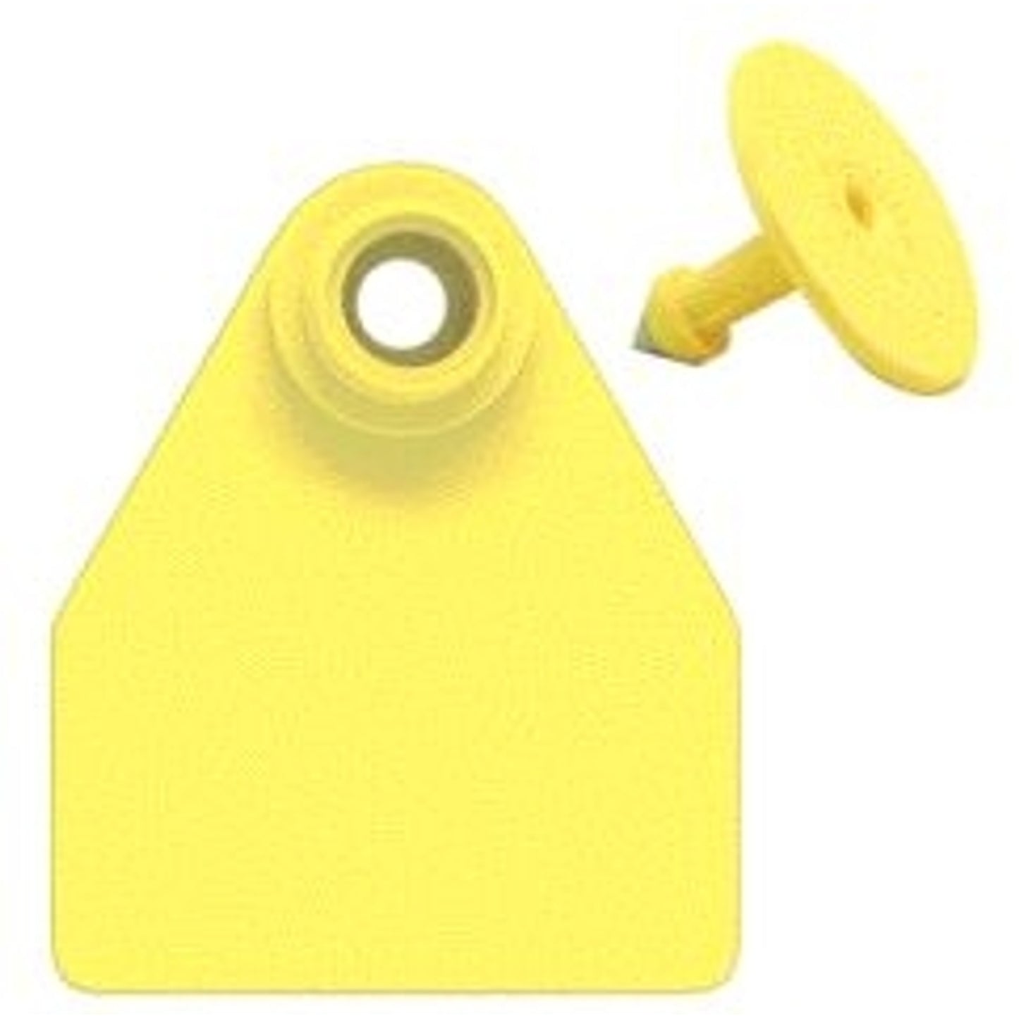 5-255481.jpg