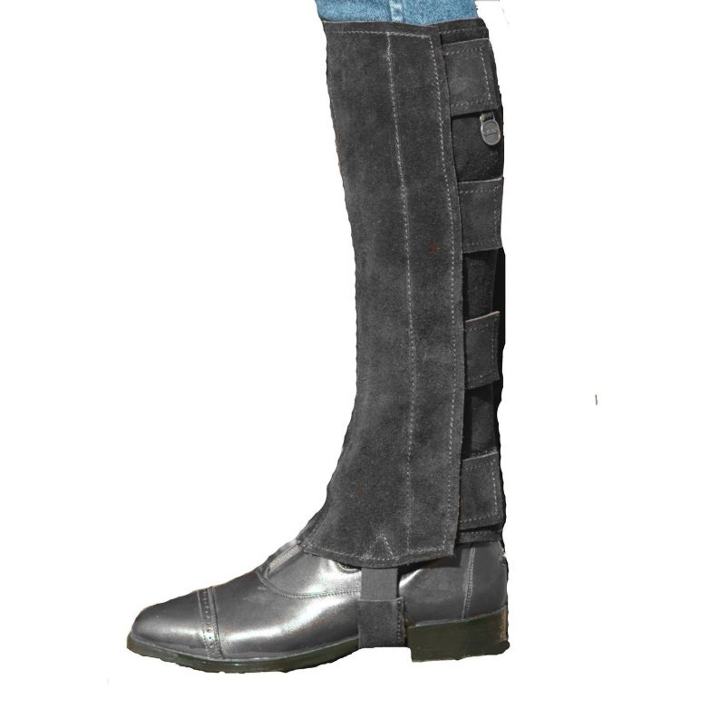 TE010788_418574.jpg