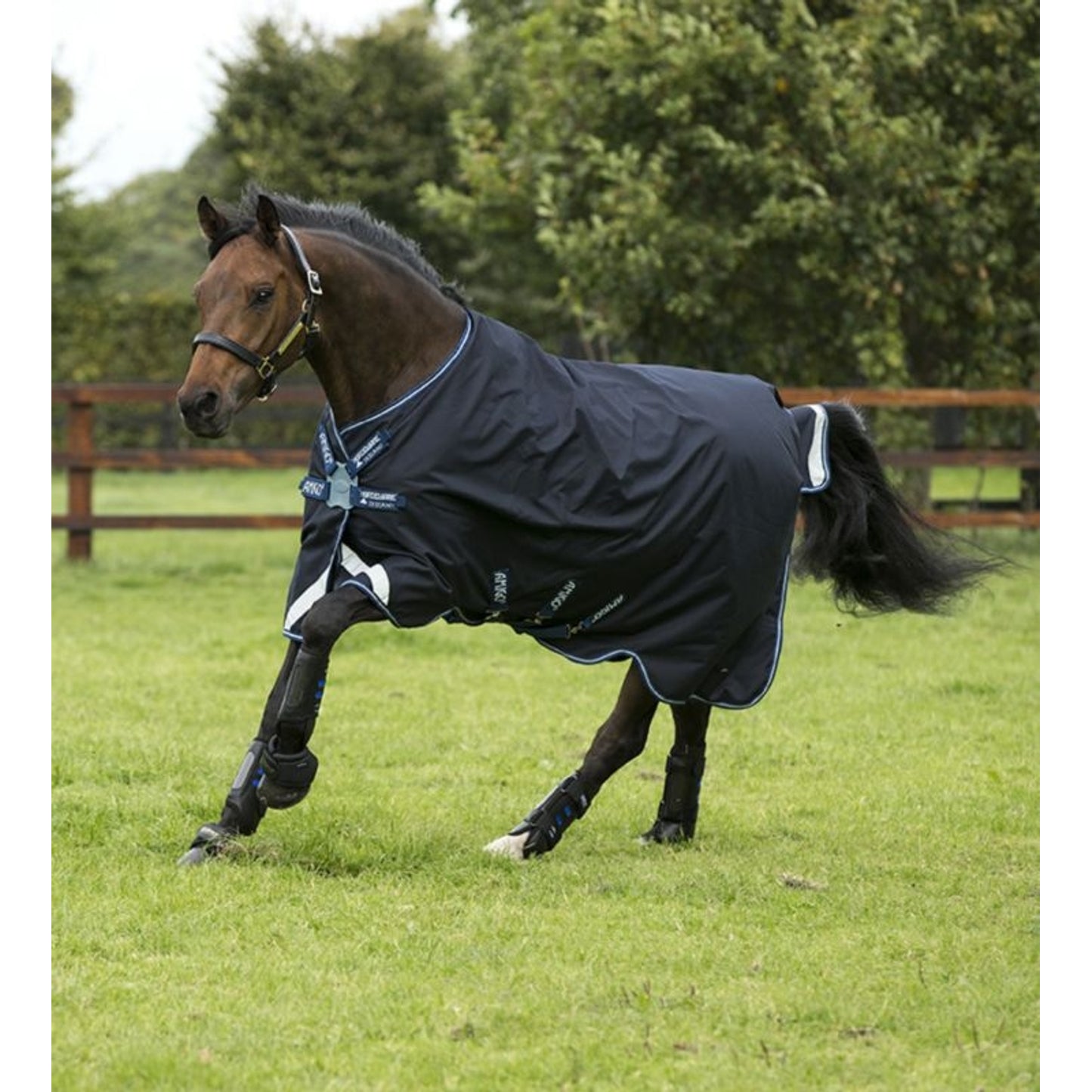 TE024221.jpg