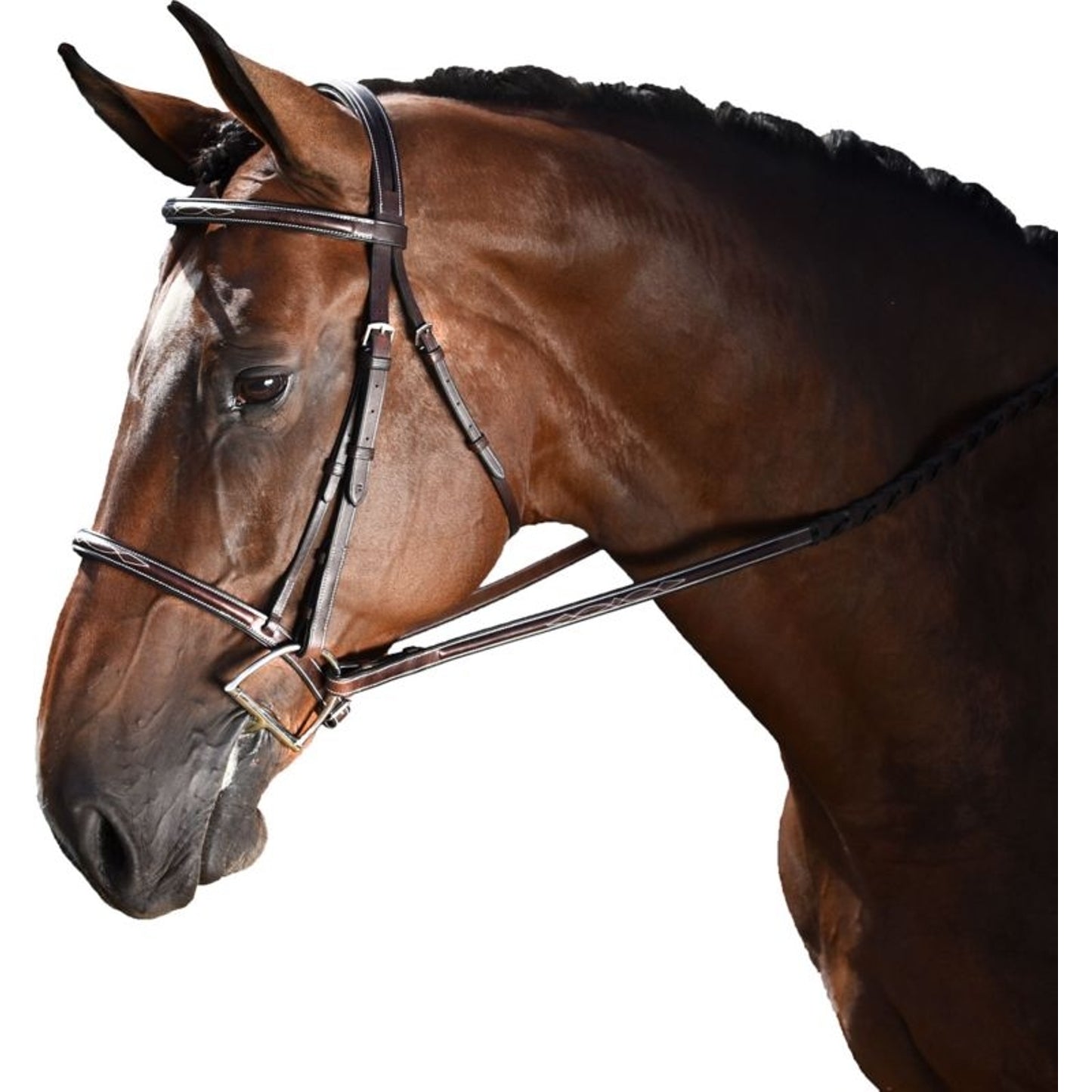 TE027841_P.jpg