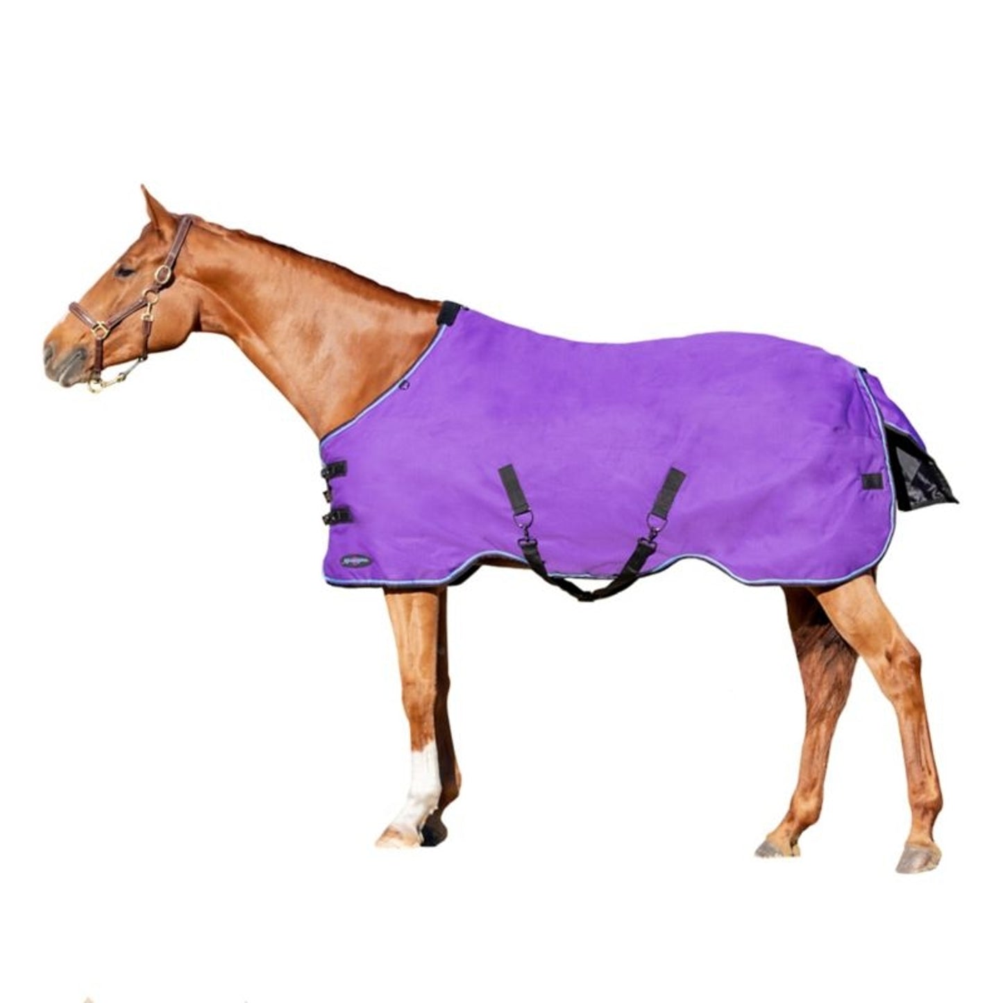 TE036586_891769_WO.jpg