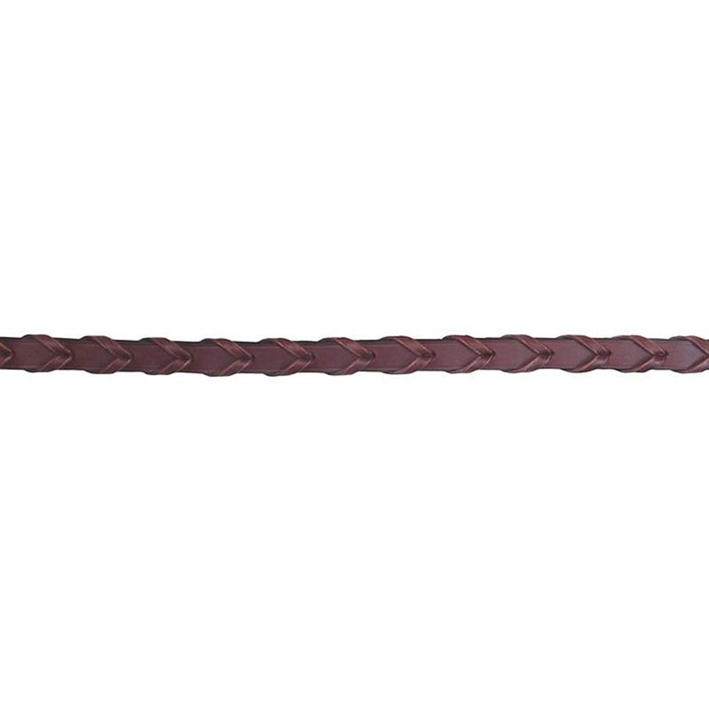 TE045504_P.jpg
