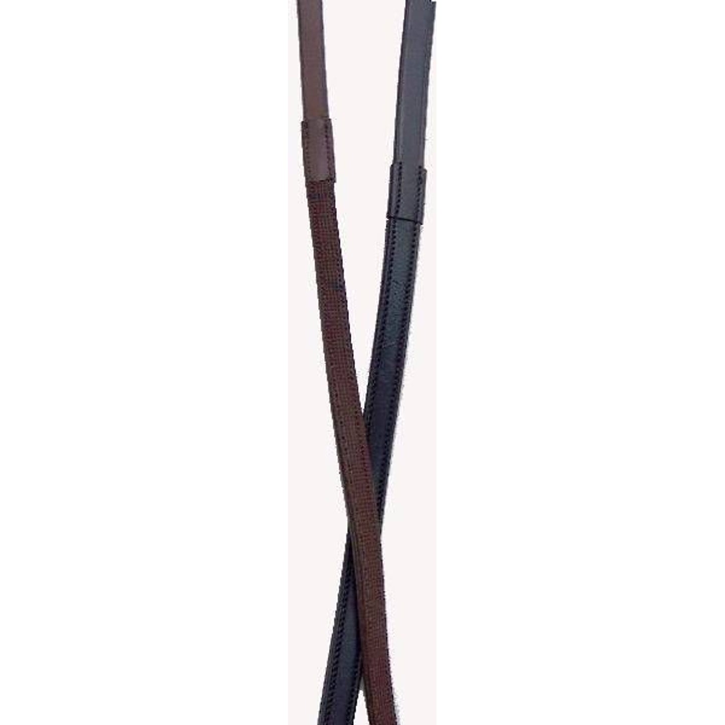 TE047637.jpg