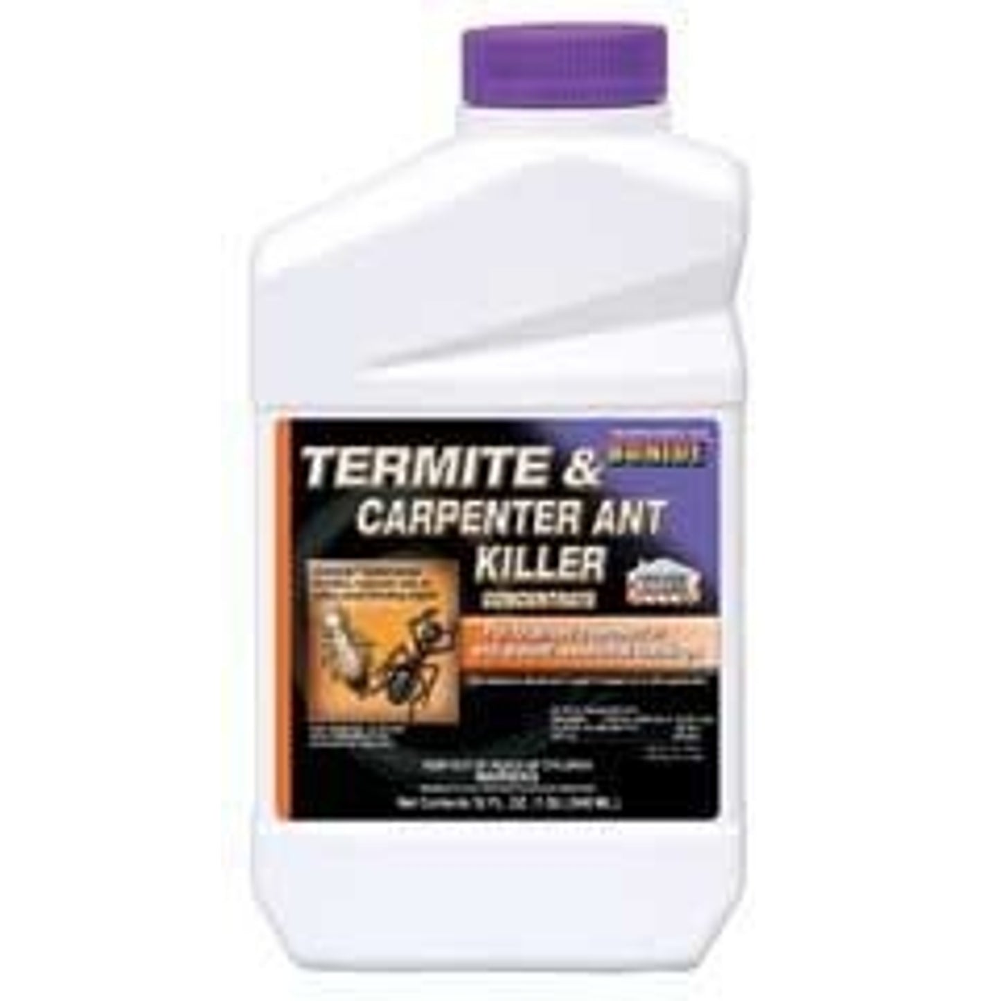 TH305630.jpg