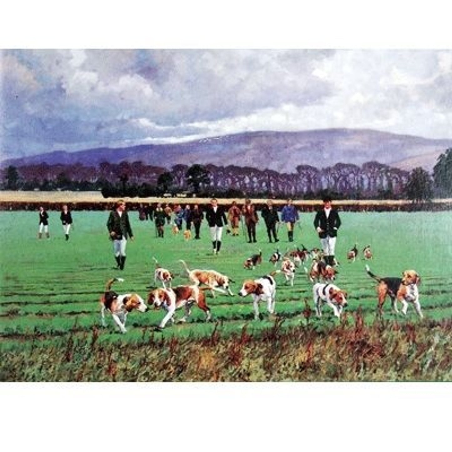 TH881548.jpg
