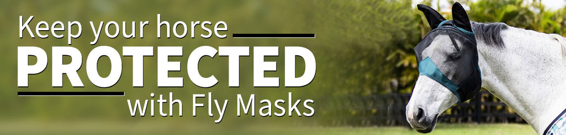 Keep your horse protected with fly masks