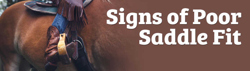 Signs of poor saddle fit