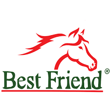 Best Friend