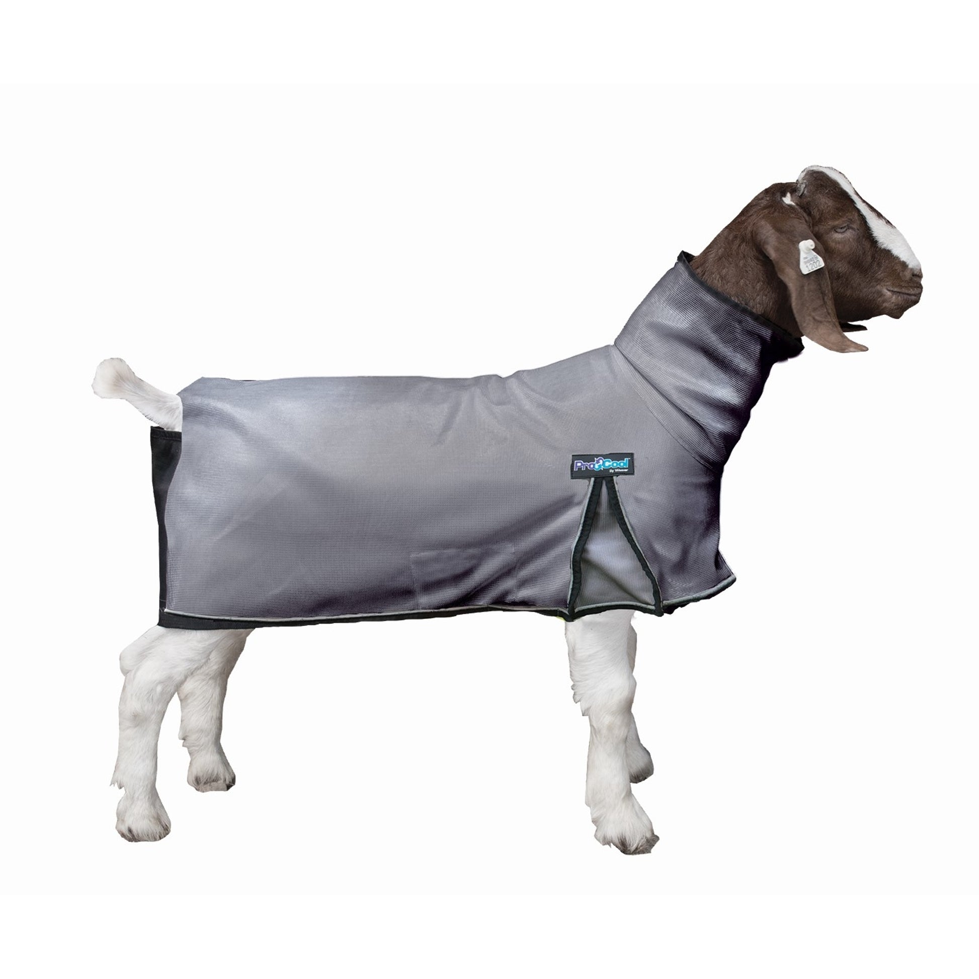 Weaver ProCool Goat Blanket with Reflective Piping