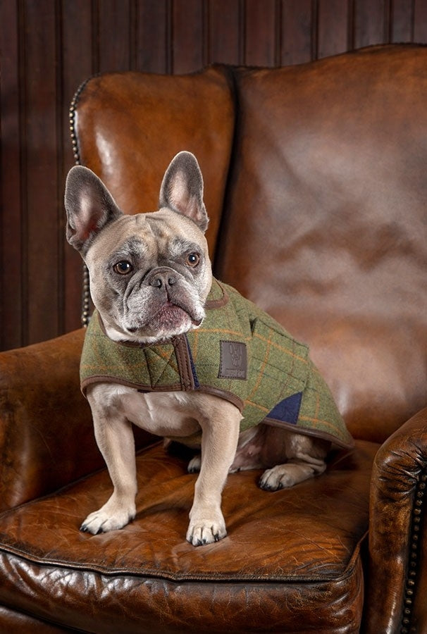 Shires Digby Fox Tweed Dog Coat