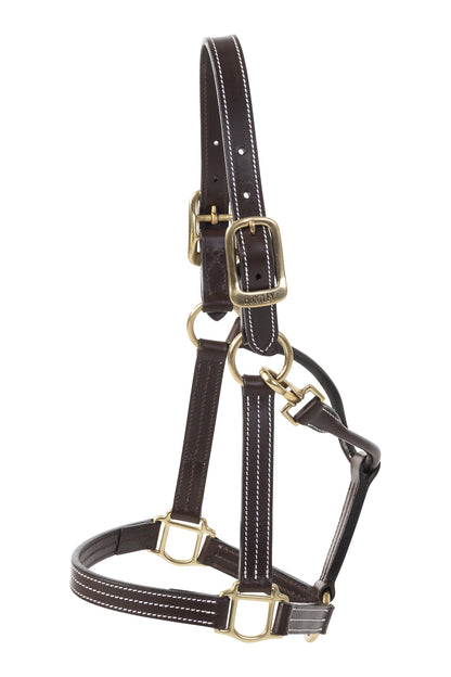 Huntley Leather Triple Stitch Halter with snap Full H