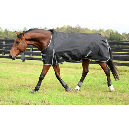 Gatsby Premium 1200D WP Turnout Blanket
