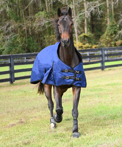 Gatsby Premium 1200D WP Turnout Blanket