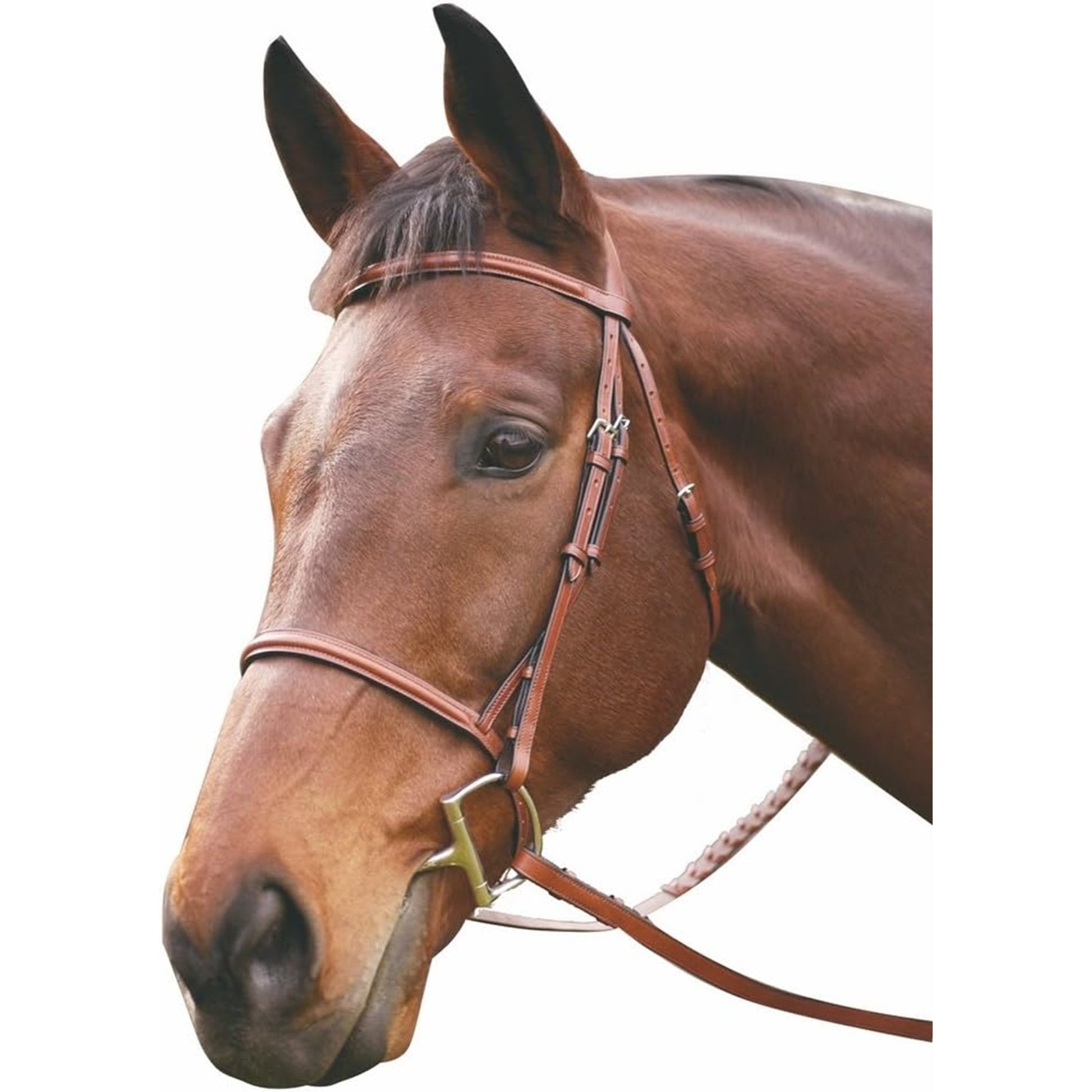 HDR Advantage Raised Snaffle Bridle