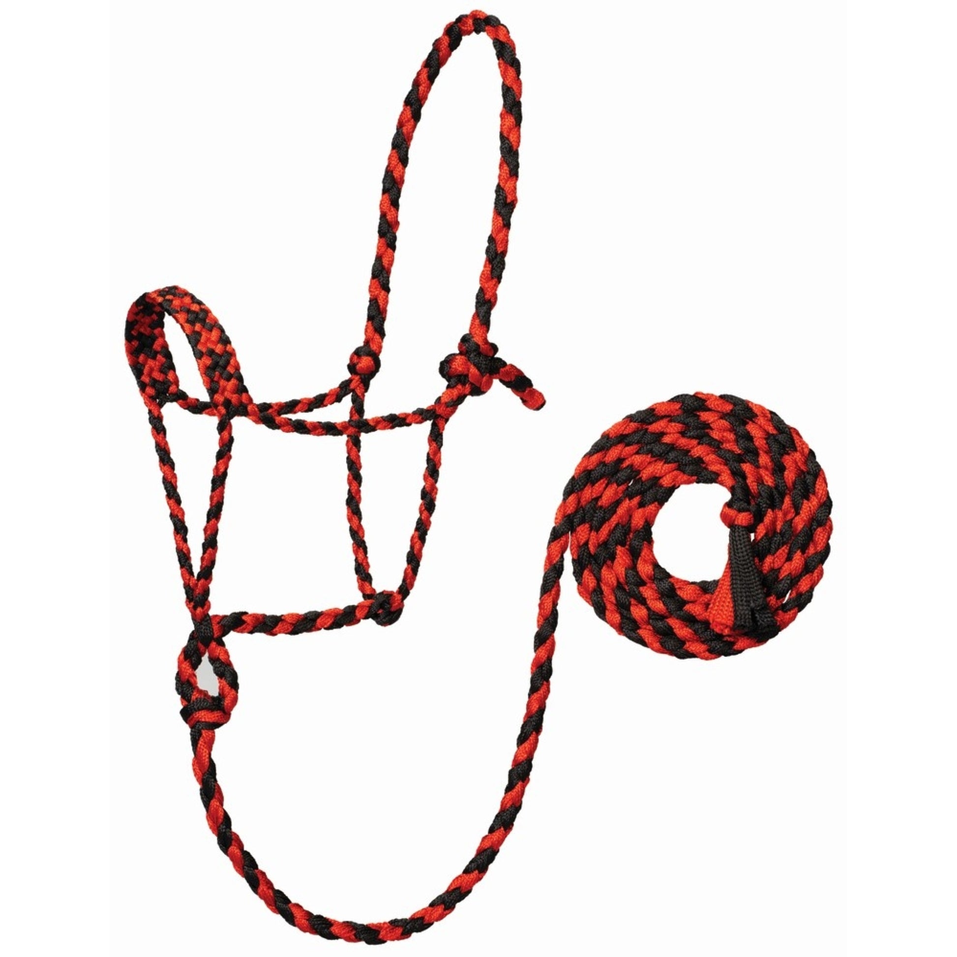 Weaver Braided Rope Halter with 10' Lead