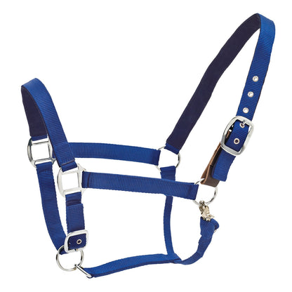 Centaur Solid Cushion Padded Breakaway Halter