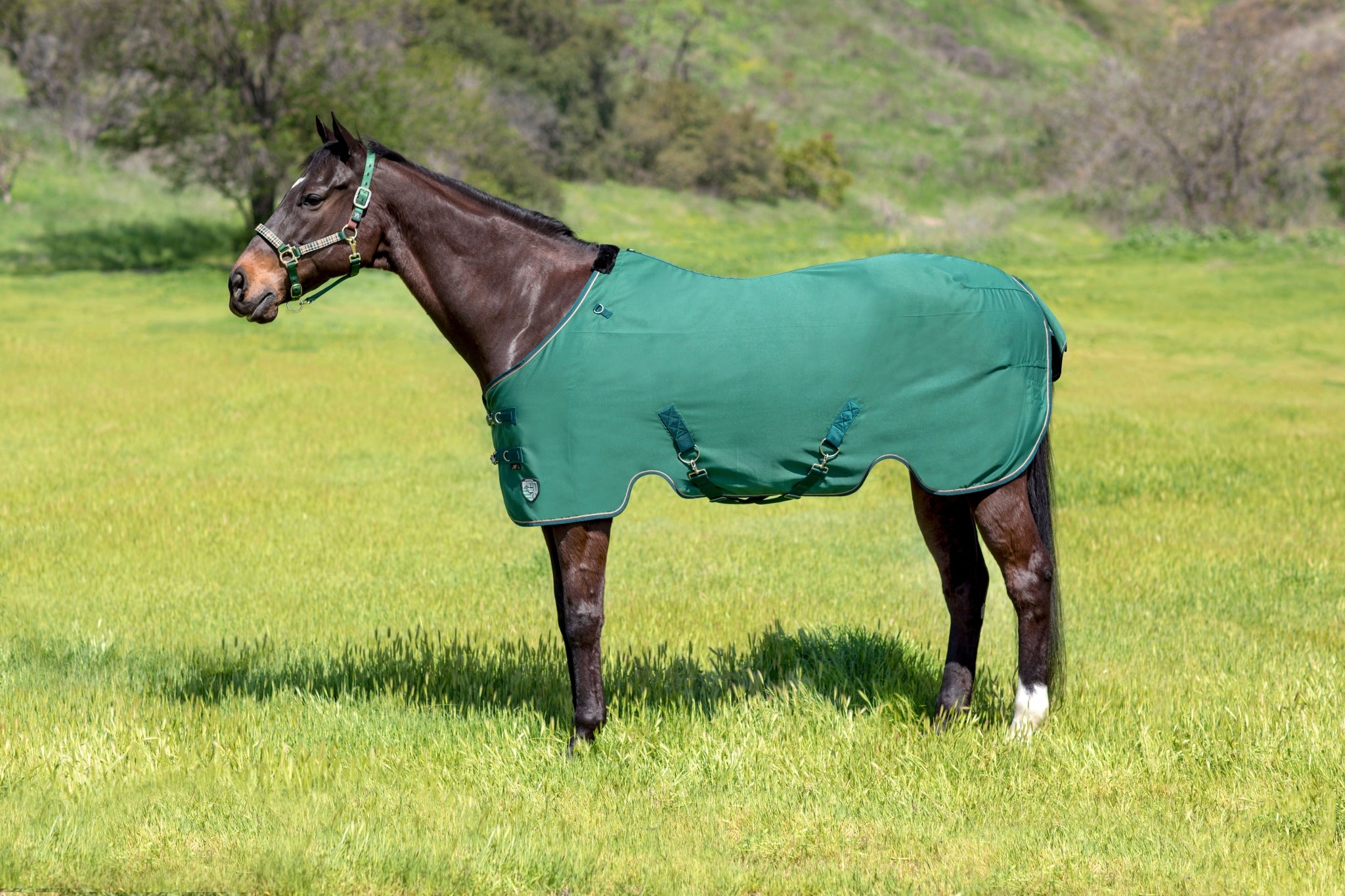 Kensington Poly Cotton Stable Sheet Pony