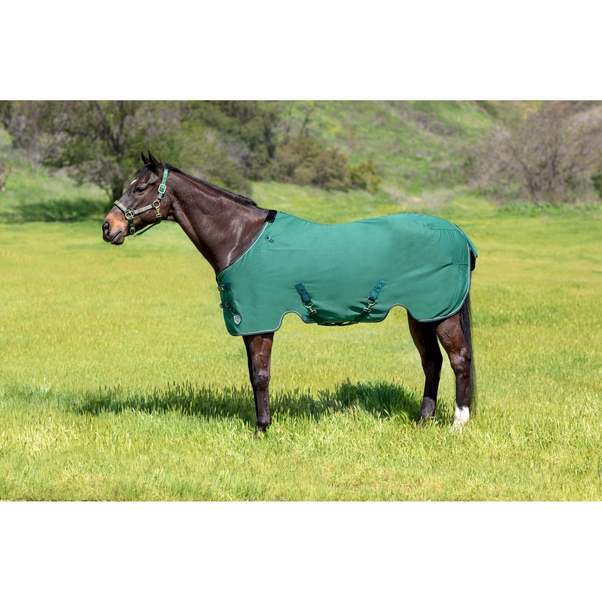 Kensington Poly Cotton Stable Sheet