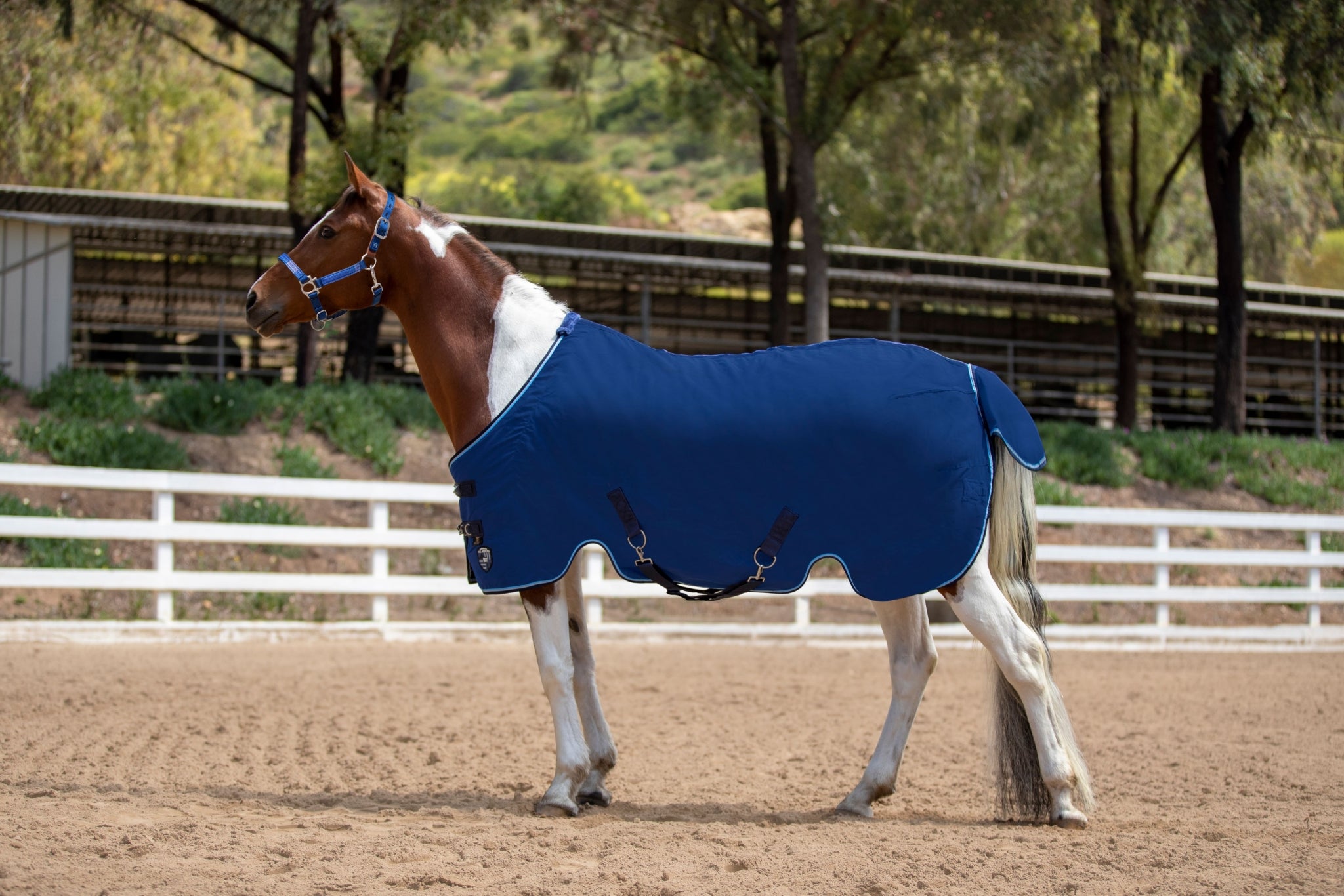 Kensington Poly Cotton Stable Sheet Pony