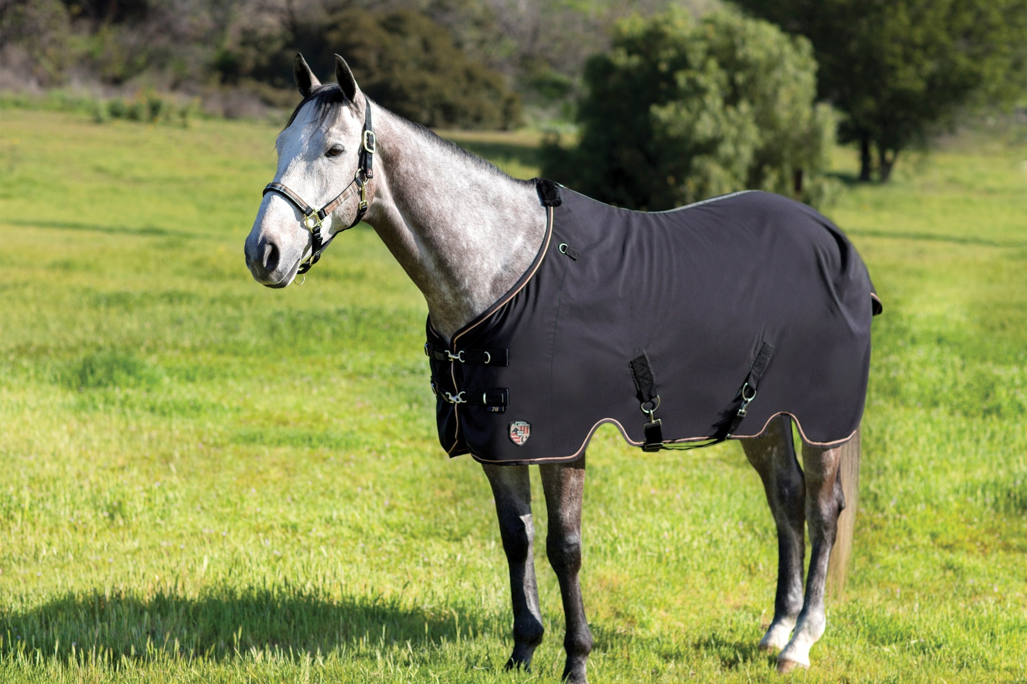 Kensington Poly Cotton Stable Sheet Pony