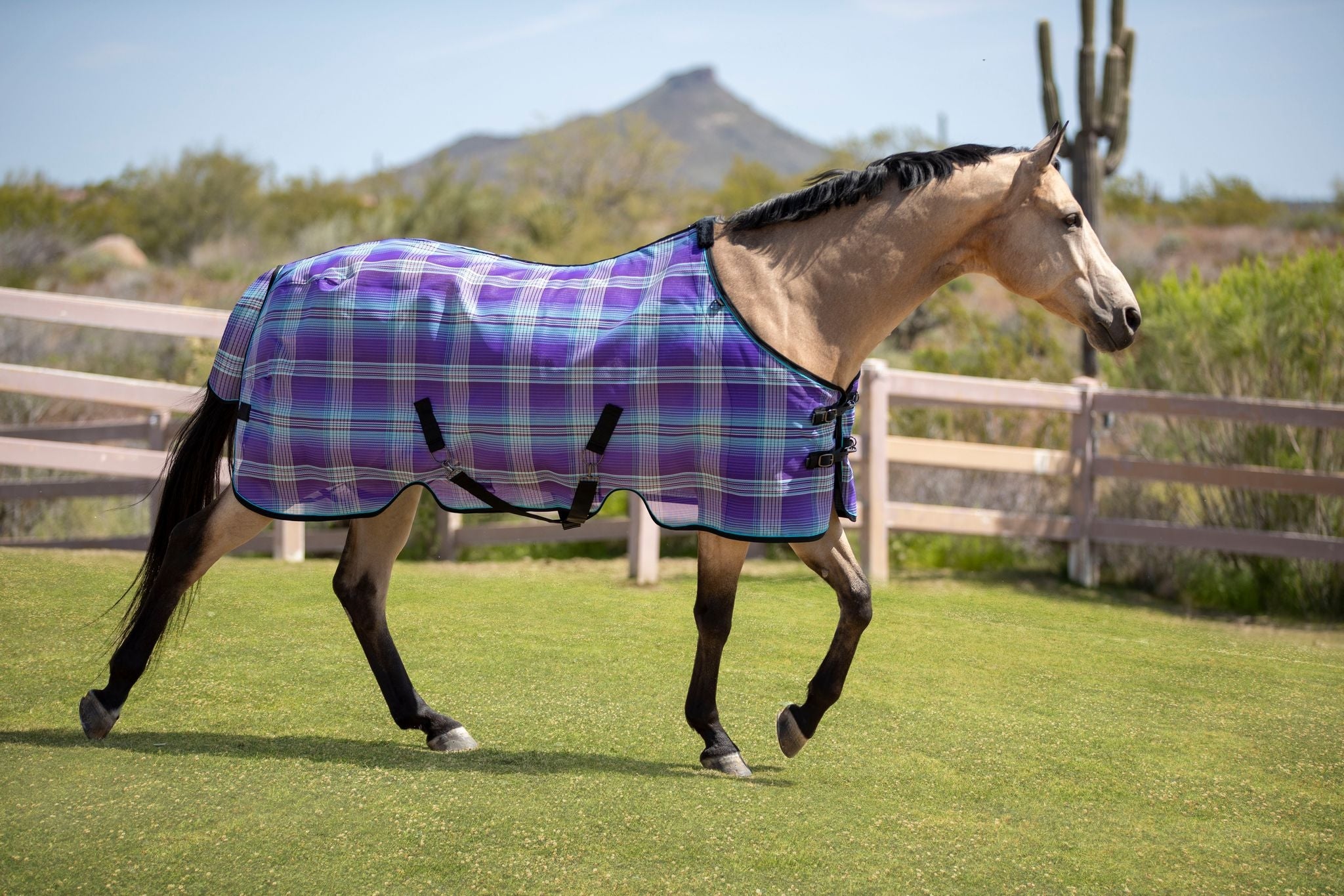 Kensington 73% UV Protective Fly Sheet