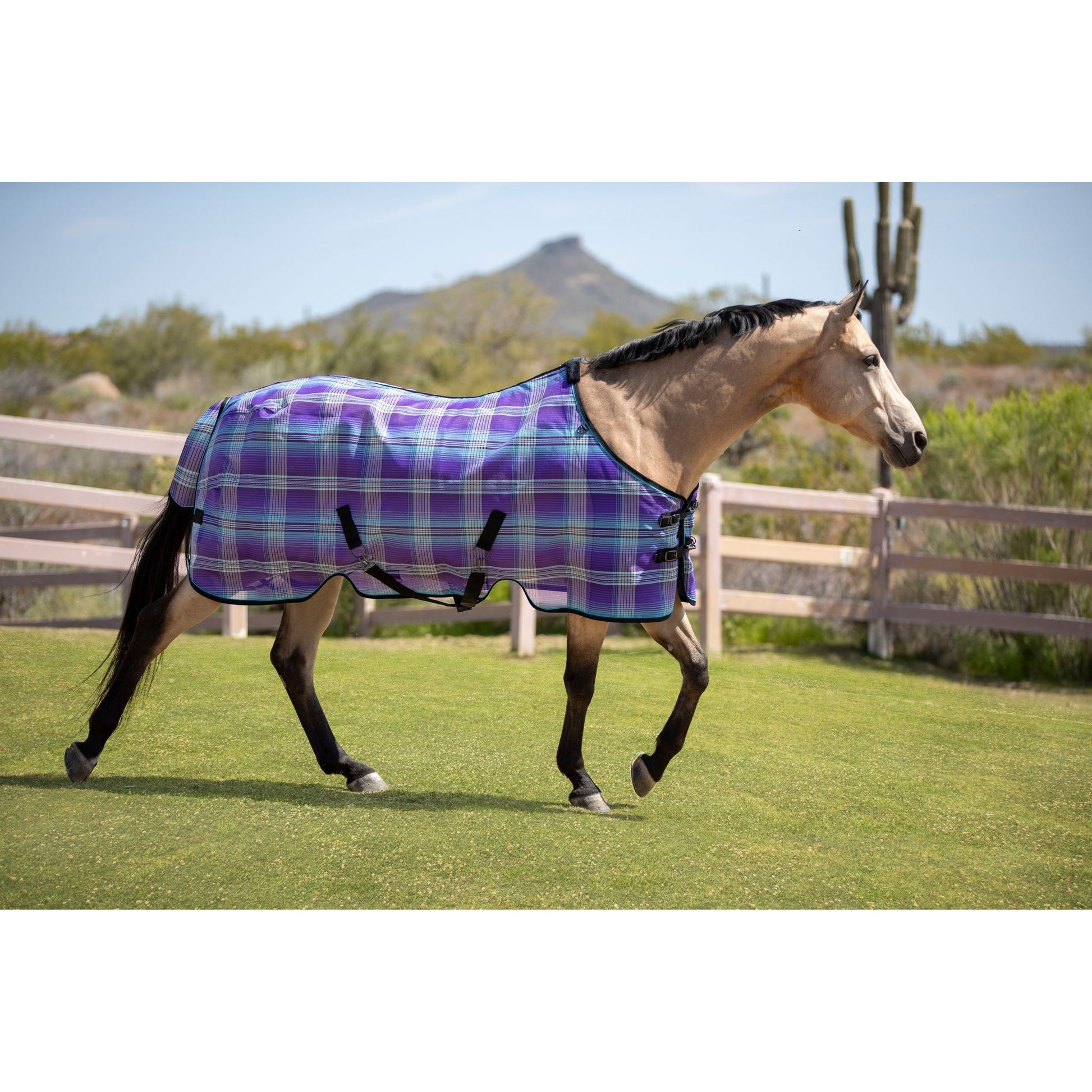 Kensington 73% UV Protective Fly Sheet