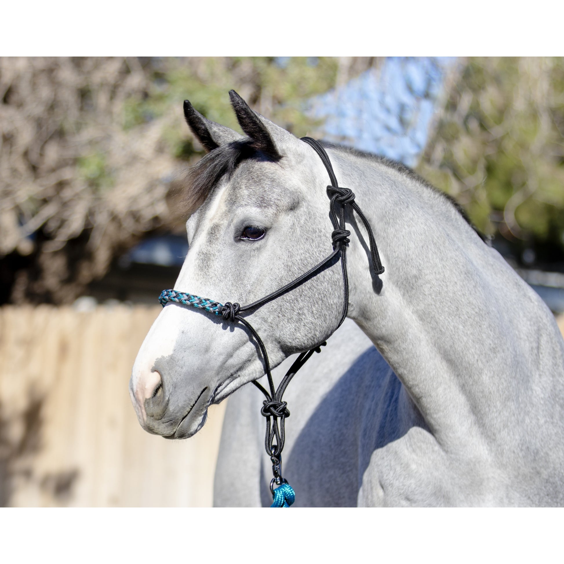 Kensington Clinician Rope Halter