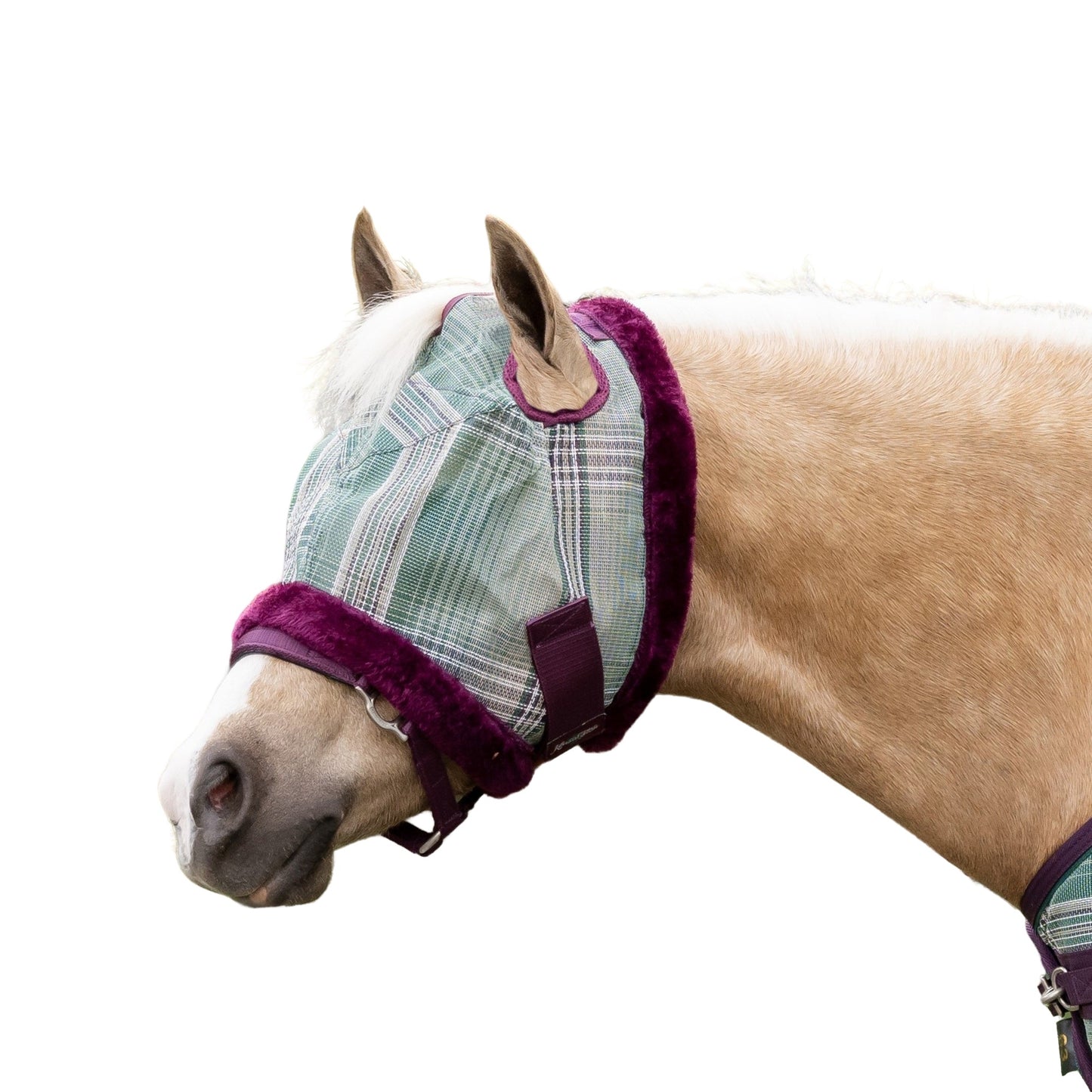 4-269791-2019.jpg