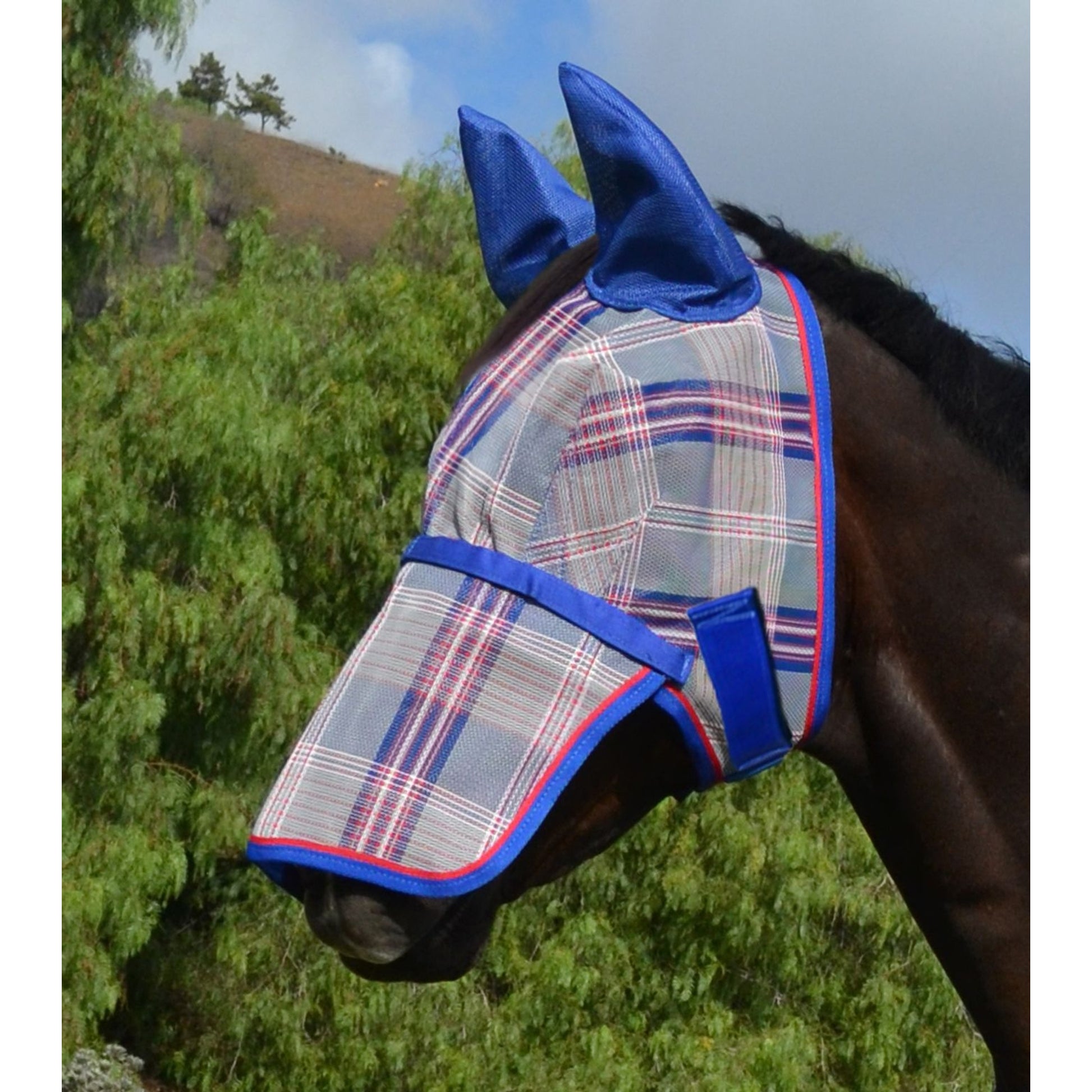 Kensington Mask with Nose and Ears