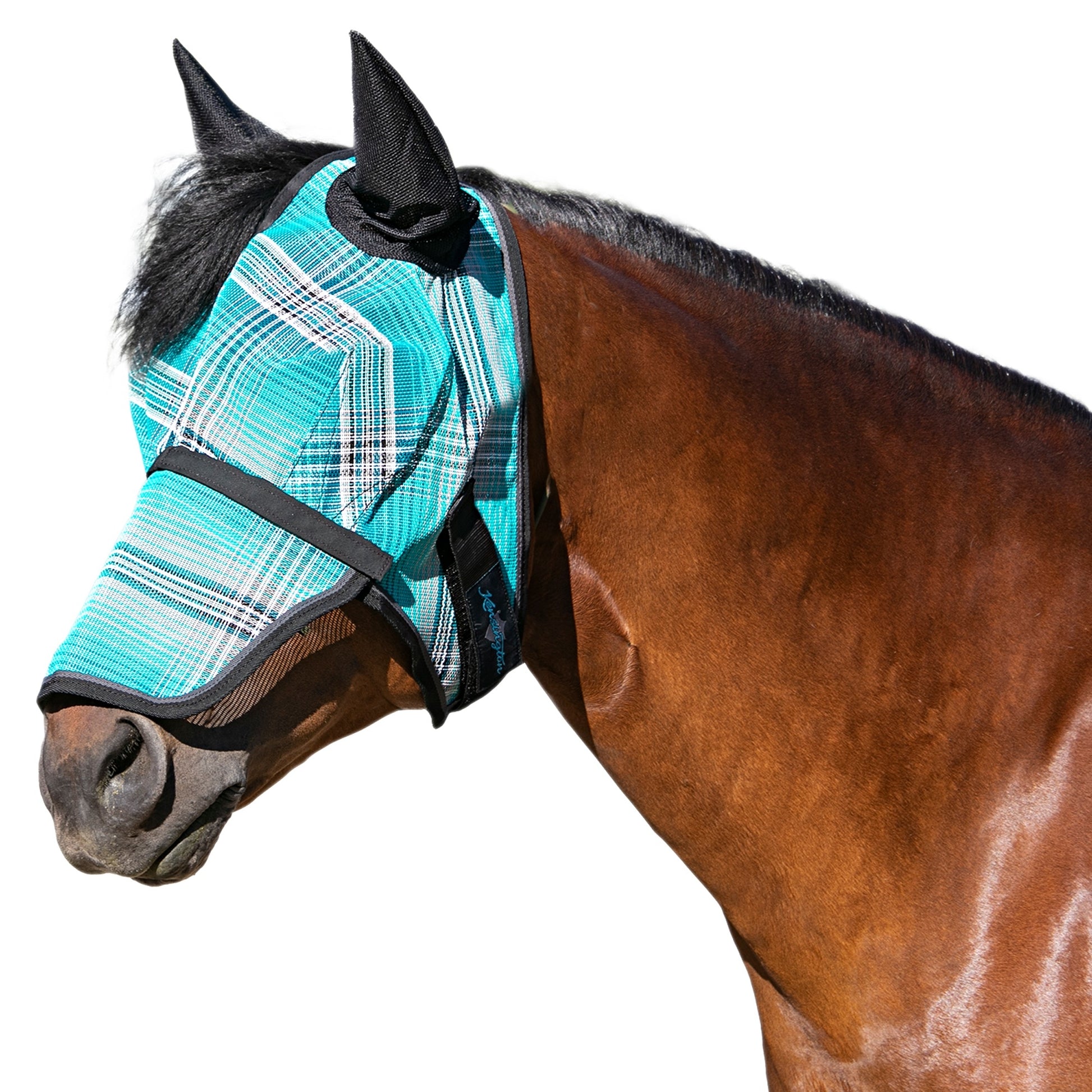 Kensington Mask with Nose and Ears