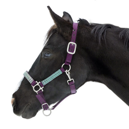Kensington Halter NB