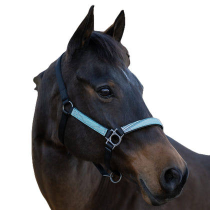 Kensington Halter NB