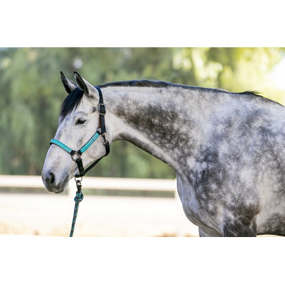 Kensington Breakaway Halter