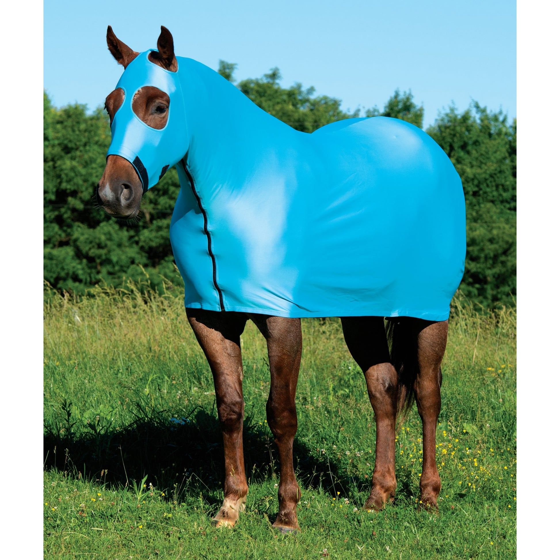 Weaver Equine Lycra Sheet Powered by Coolcore