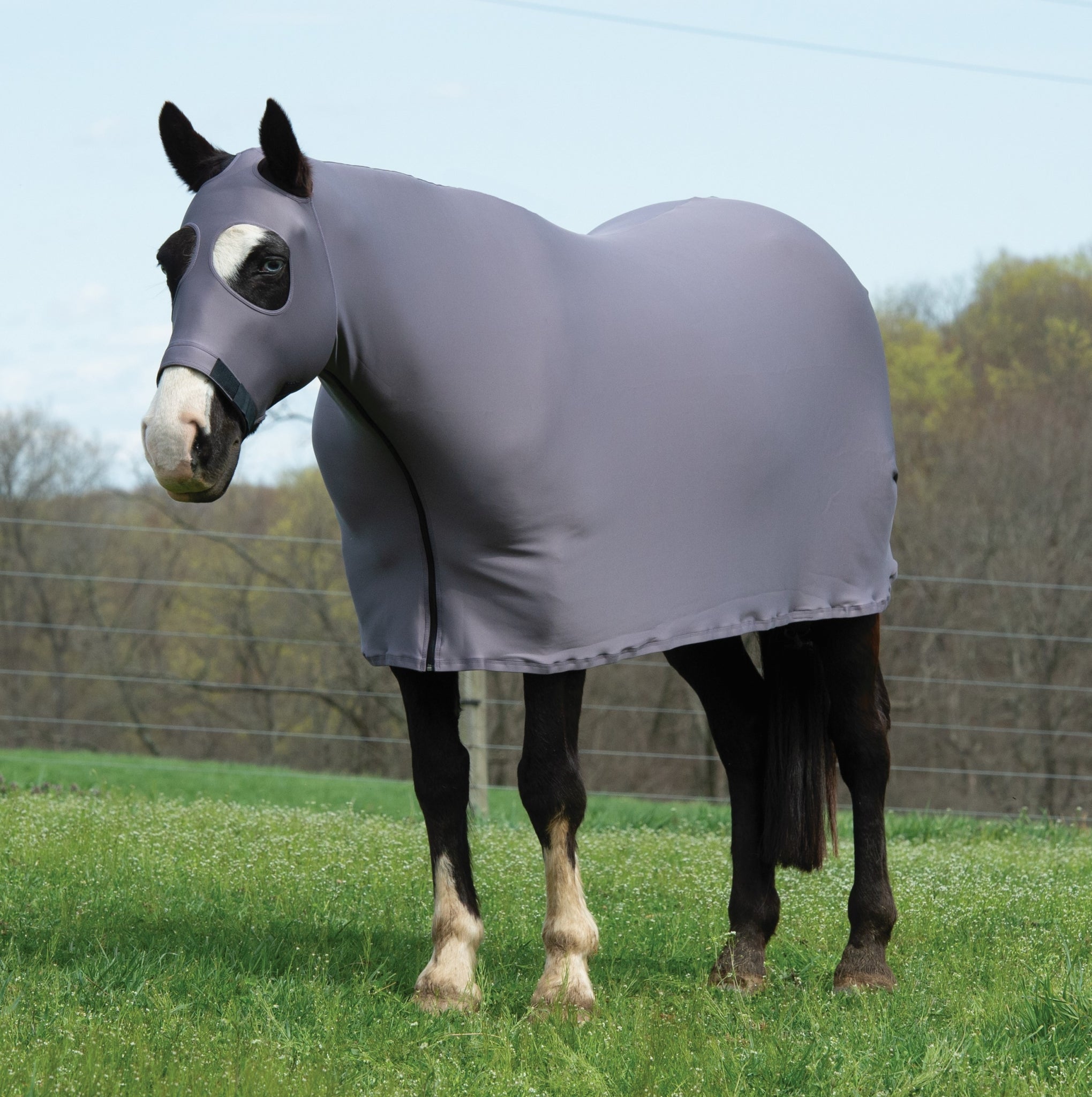 Weaver Equine Lycra Sheet Powered by Coolcore