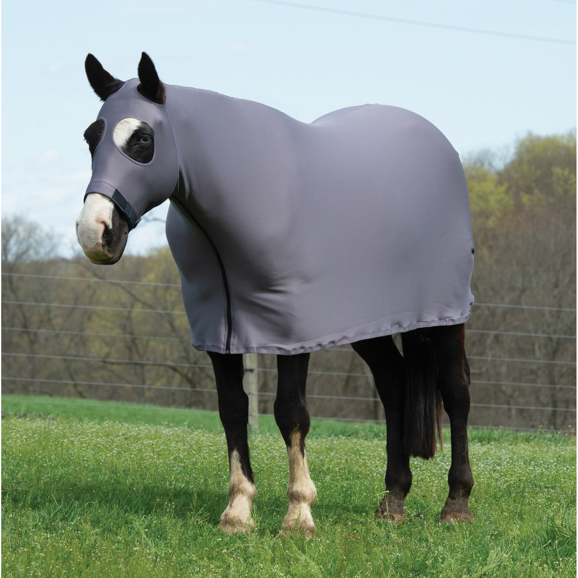 Weaver Equine Lycra Sheet Powered by Coolcore
