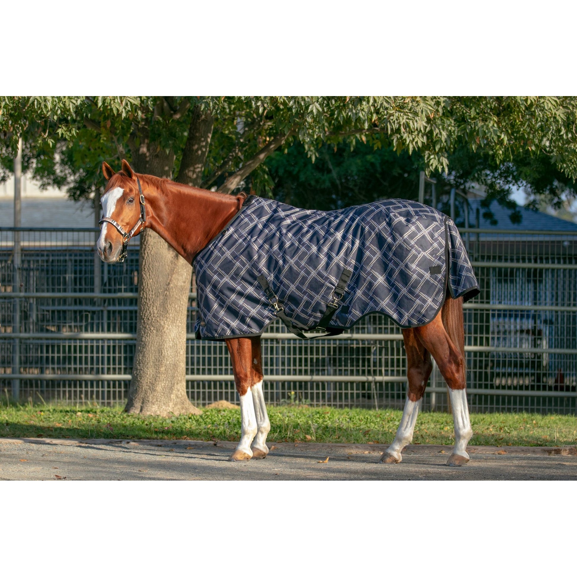 Kensington 1200D Turnout 300g