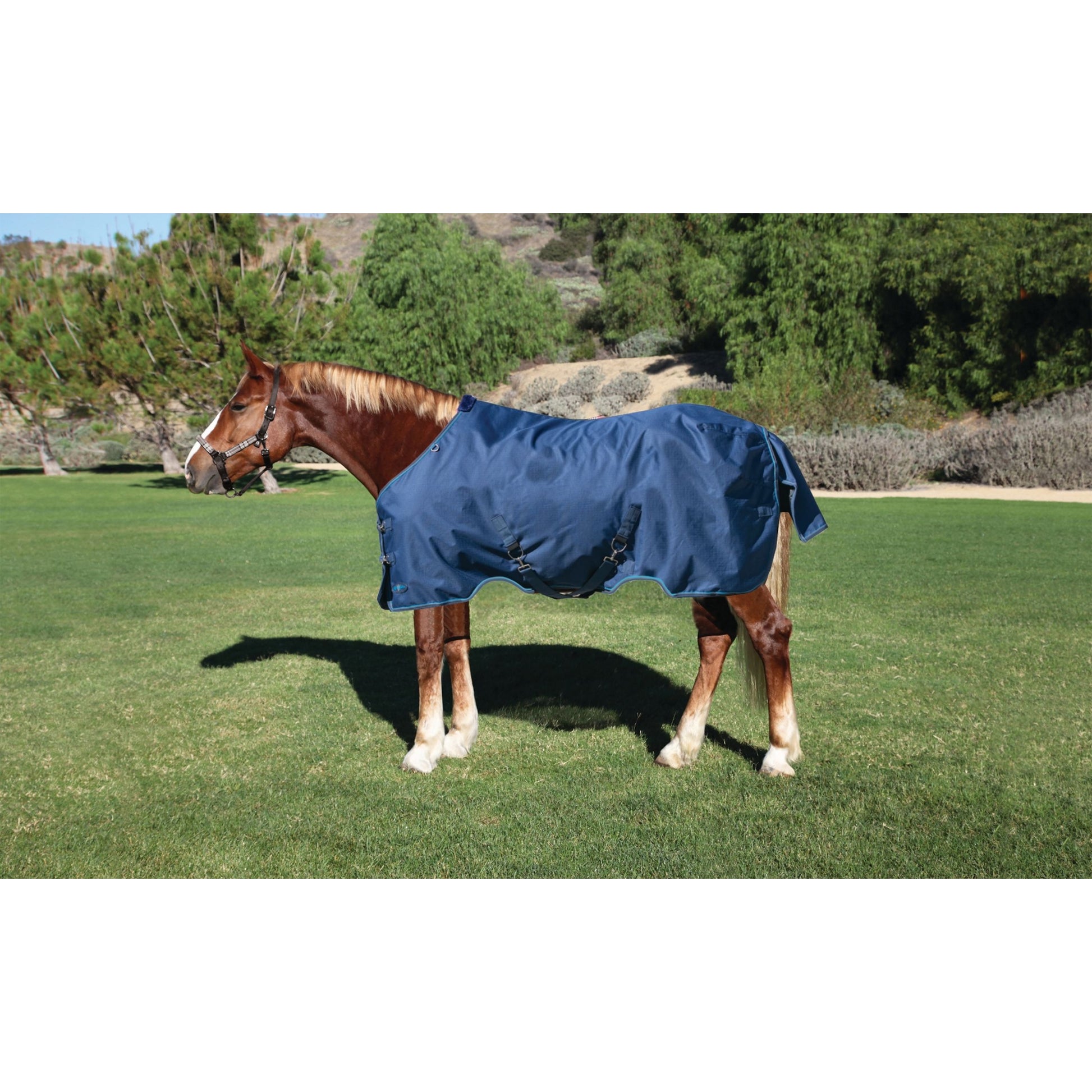 Kensington 1200D Turnout 300g