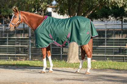 Kensington 1200D Turnout 300g