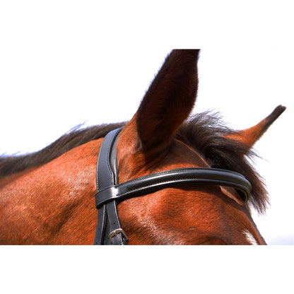 Nunn Finer Aforma Flash Bridle