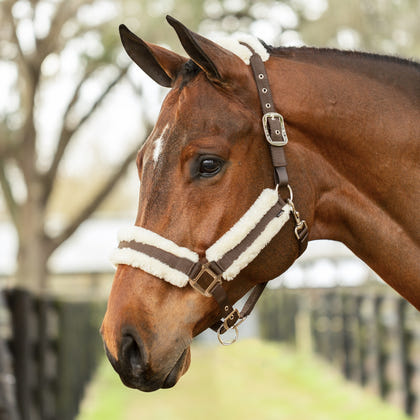Equinavia Valkyrie Fleece Breakaway Halter