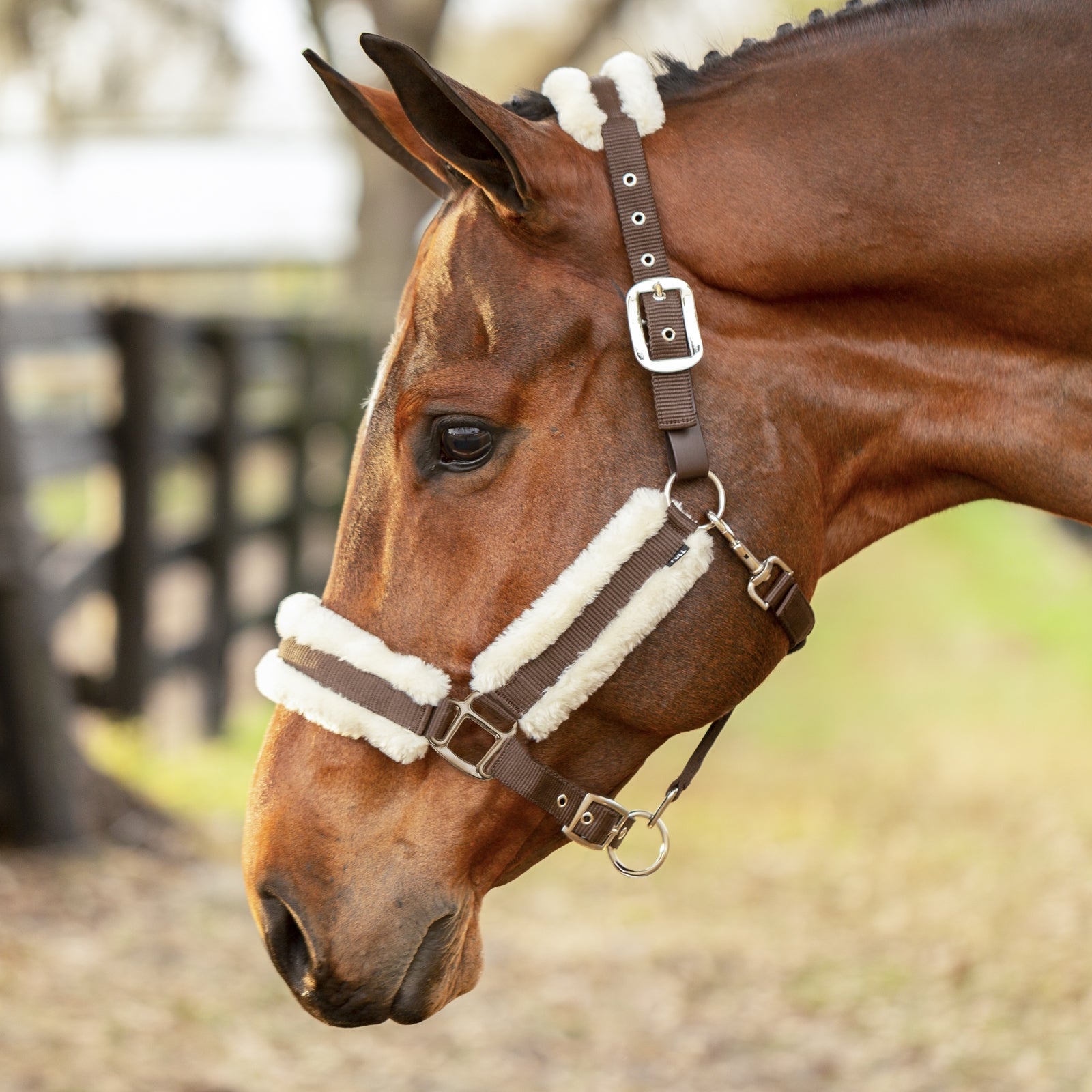 Equinavia Valkyrie Fleece Breakaway Halter