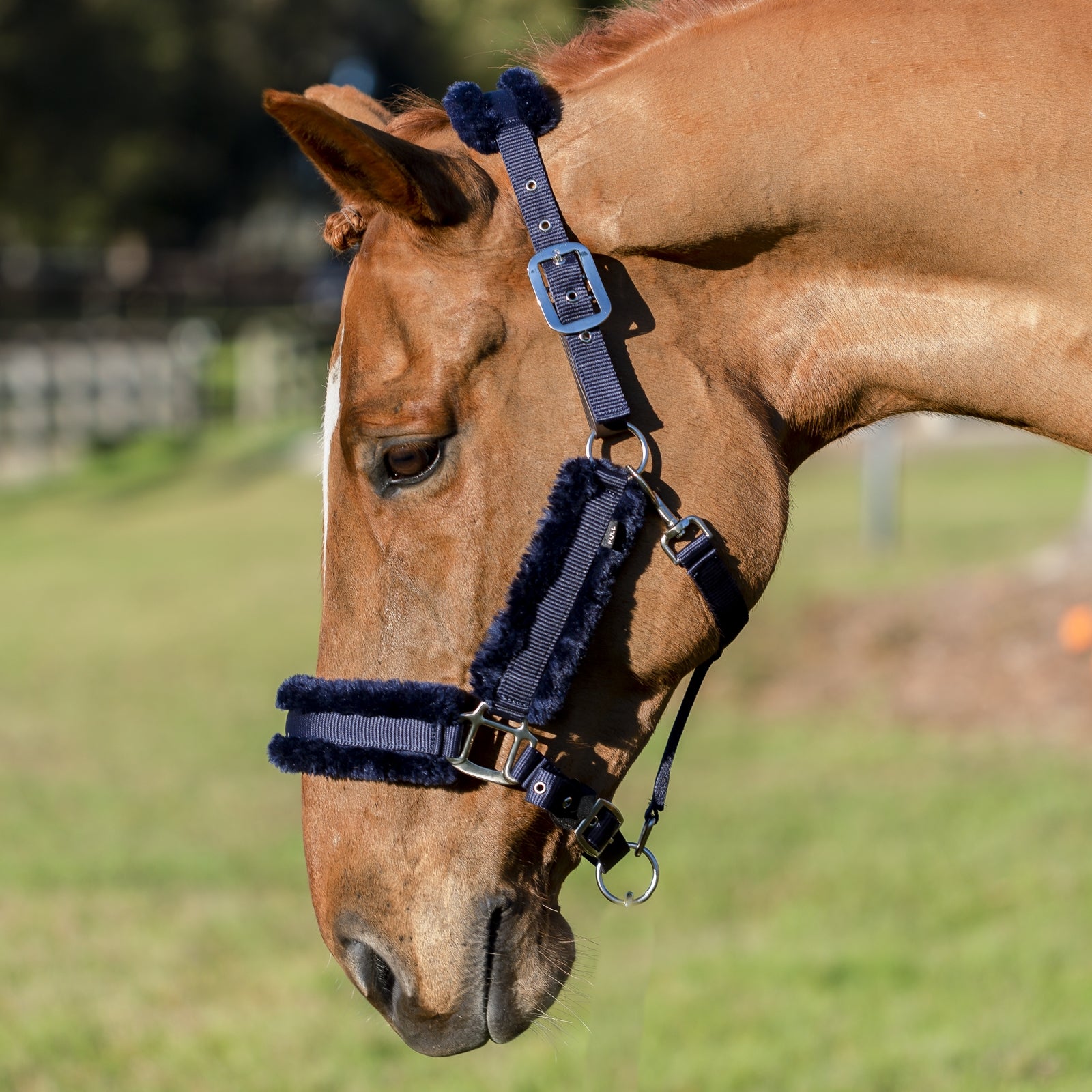 Equinavia Valkyrie Fleece Breakaway Halter