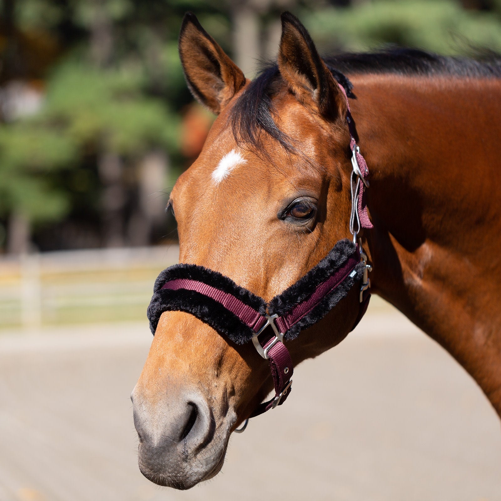 Equinavia Valkyrie Fleece Breakaway Halter