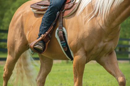 Weaver AirFlex Straight Cinch with Merino Wool Fleece Liner