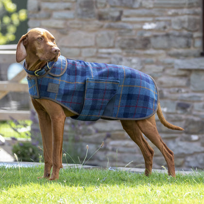 Shires Digby Fox Tweed Dog Coat
